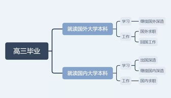 高中生报考雅思应该选什么理由-高中生考雅思一般是什么水平