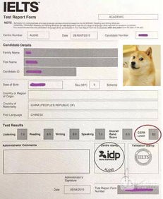 雅思a1b1区别-一张图读懂ukvi雅思和普通雅思的区别