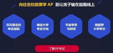 ap辅导是什么-AP培训内容是什么