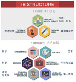 tok分数-IB课程的学生你知道2019TOK怎么取得高分吗