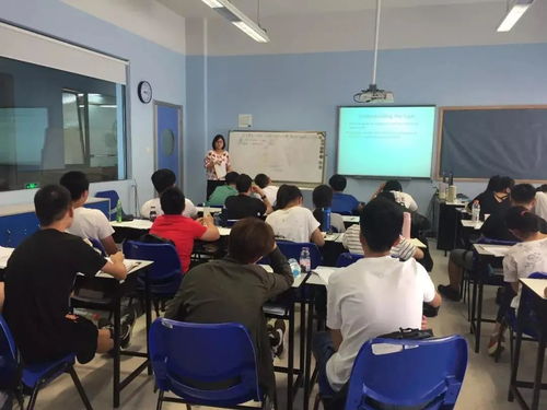 上海ap课程老师-上海哪里读AP课程
