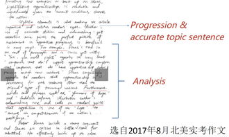 sat 满分作文-SAT满分作文赏析