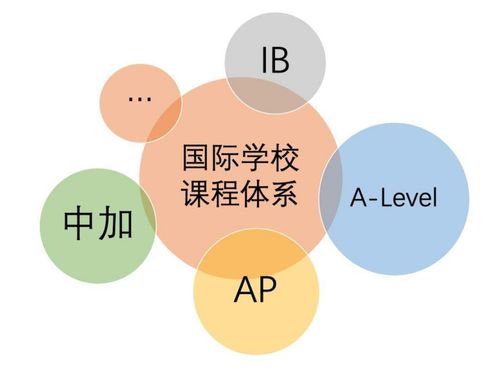 ib课程和alevel课程-六大主流国际课程解析AP、Alevel和IB有什么区别
