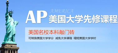 上海国际高中ap课程-上海国际高中课程AP/IB/A