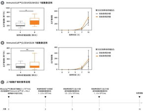 tpoibt区别-托福toefl考试简介