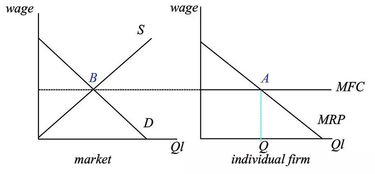 AP下标l是什么意思经济学-AP经济学中对于边际的理解和计算