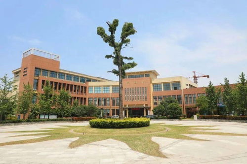 义乌市国际商贸学校地址-市国际商贸学校简介