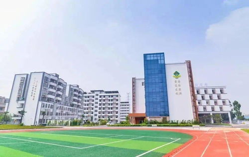 白云省实小学民办-2019广州小升初名校探访丨白云省实