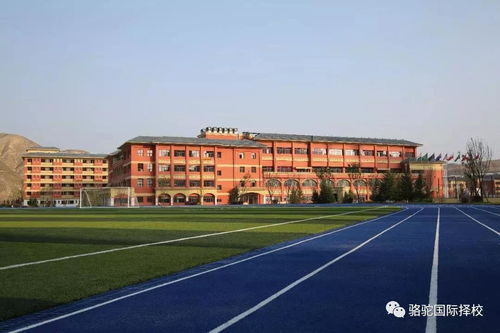 广东碧桂园学校2022-广东碧桂园学校2022