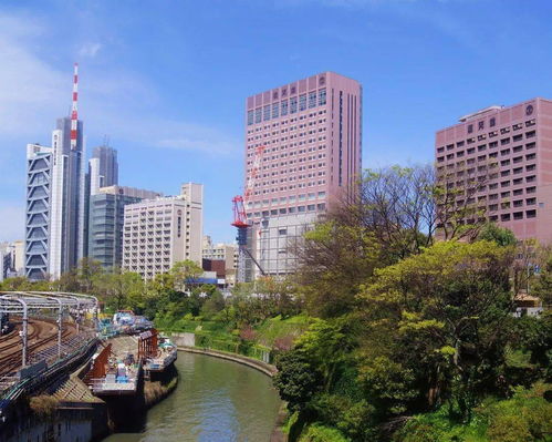 顺天堂大学-顺天堂大学简介