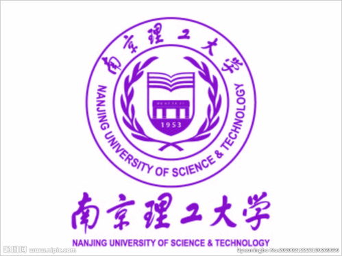 南京河西外国语学校logo-南京河西外国语学校