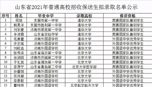 济南外国语学校网址-济南外国语学校开元国际分校站址