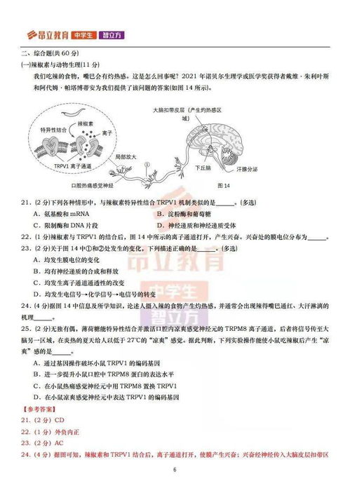 2022年杨浦区一模考试排名-2022年杨浦区一模考试排名