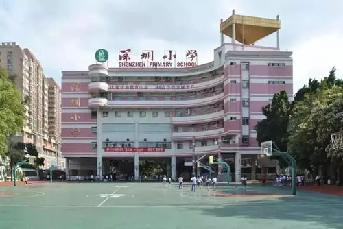 深圳贵族学校排名小学-深圳贵族小学有哪些