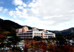 南韩全南大学-2020年全南大学申请条件与入学要求