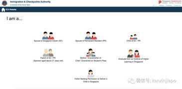 新加坡毕业后找工作-毕业后是回国还是留在新加坡工作