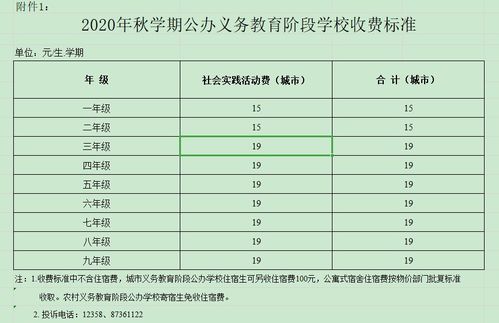 树人国际高中一年学费是多少-南京树人国际学校2021年学费、收费多少