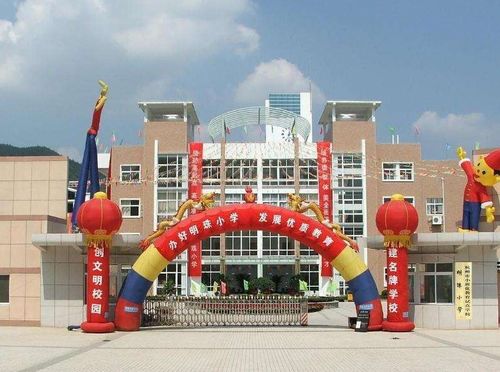 上海scls是哪个小学-上海宋庆龄学校中学学部概况介绍