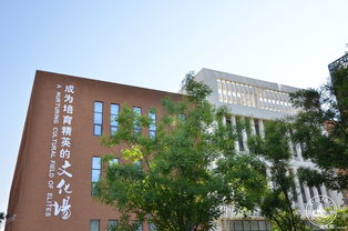 济宁孔子国际学校租房-济宁孔子国际学校