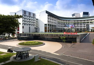 新加坡淡马锡理工学院申请条件-2019申请新加坡淡马锡理工学院留学有哪些要求