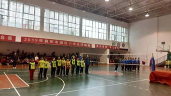 上海静安排球小学是哪家-上海静安区有哪些口碑好的国际学校