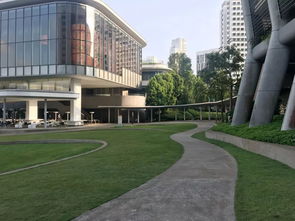 新加坡国立学校商科-商科录取经验分享
