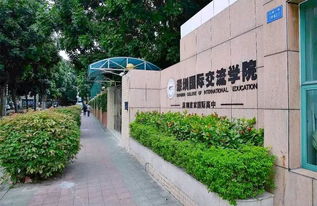 深圳国际交流学院招聘-深圳国际交流学院