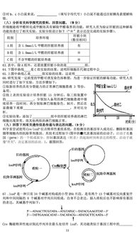 上海奉贤区多久出一模成绩-上海各区2021年一模成绩&排位情况汇总