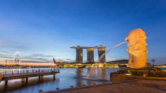 新加坡国际生-新加坡国际生签证种类