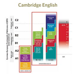 pet标准版校园版-KET与PET青少版和标准版考试到底有什么不同