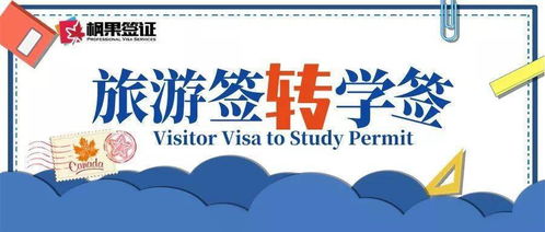 旅转学DIY-密歇根大学安娜堡分校转学案例