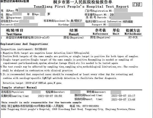 出国哪里可以做英文核酸检测报告-国内可出具英文版核酸检测报告的机构汇总