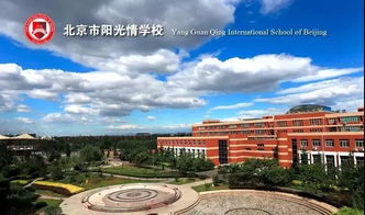 北京市东城区阳光情学校-北京市阳光情国际学校