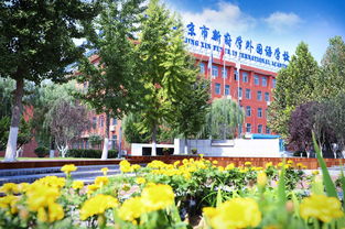 北京新府学国际学校视频-北京新府学国际高中都有什么课程