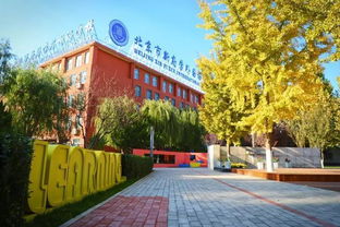 北京新府学国际学校视频-北京新府学国际高中都有什么课程