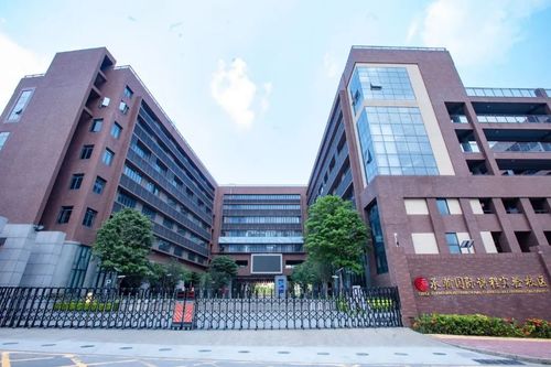 深圳小学国际班-深圳外国学校国际部