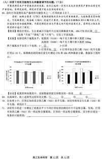 上海高中一模考试-上海高三历年一模试题有哪些