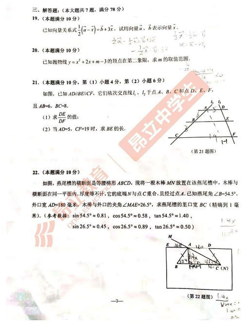 2022徐汇一模平均分-2022徐汇一模平均分