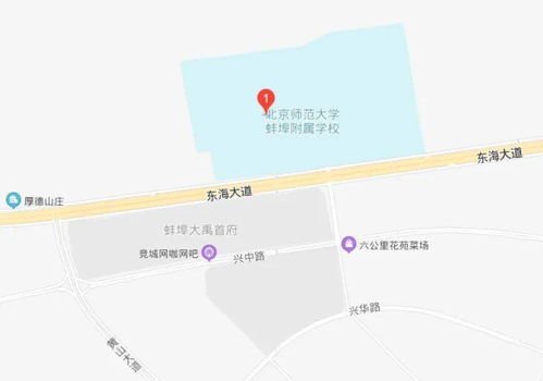 蚌埠北师大国际部学费-北师大蚌埠附属学校国际部学费一年多少