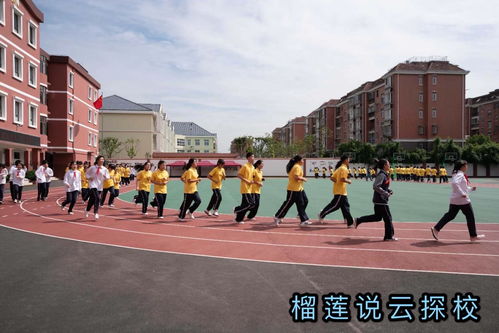 上海国际学校校长坠崖-2016年上海国际学校大事件及全市中小学校长任免情况