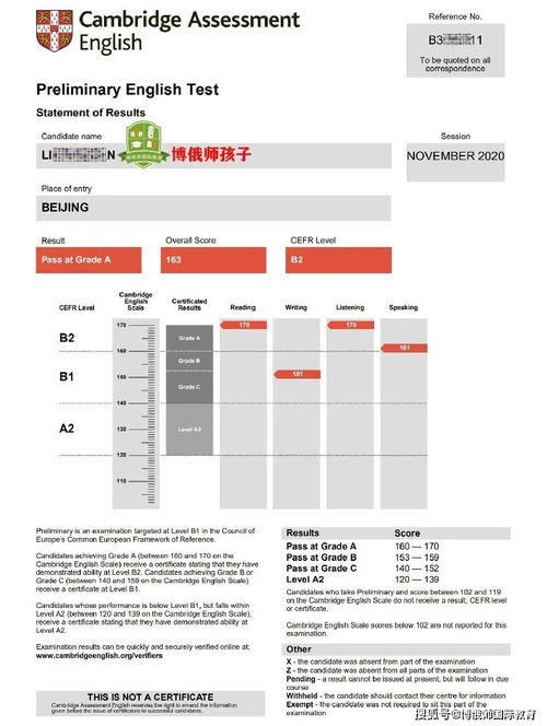 ket pet区别-ket和pet之间的区别是什么