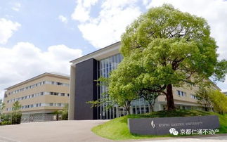 京都外国语大学排名-2020年京都大学Times世界排名
