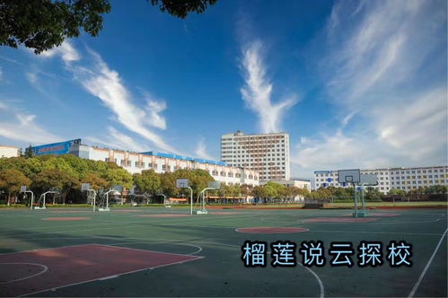 上海金苹果学校是重点-详细介绍上海金苹果学校好进吗