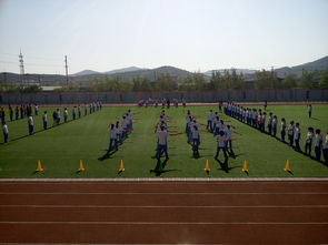 海淀中关村外国语学校口碑-北京中关村外国语学校怎么样