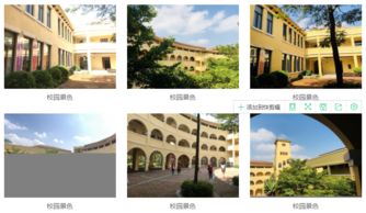 深圳曦城协同学校-深圳曦城协同国际学校