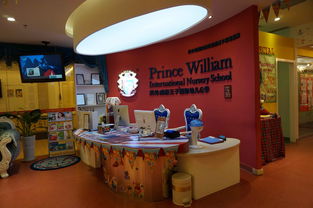 威廉王子公学幼儿学费-英伦威廉王子公学国际幼儿园招生简章