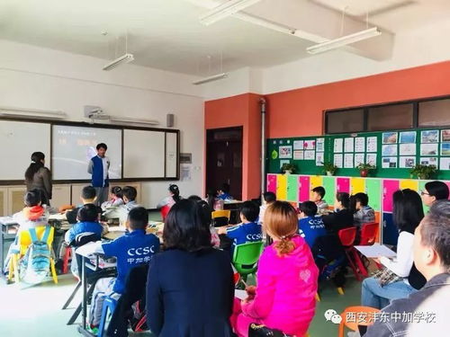 西安沣东中加学校老师-西安沣东中加国际学校